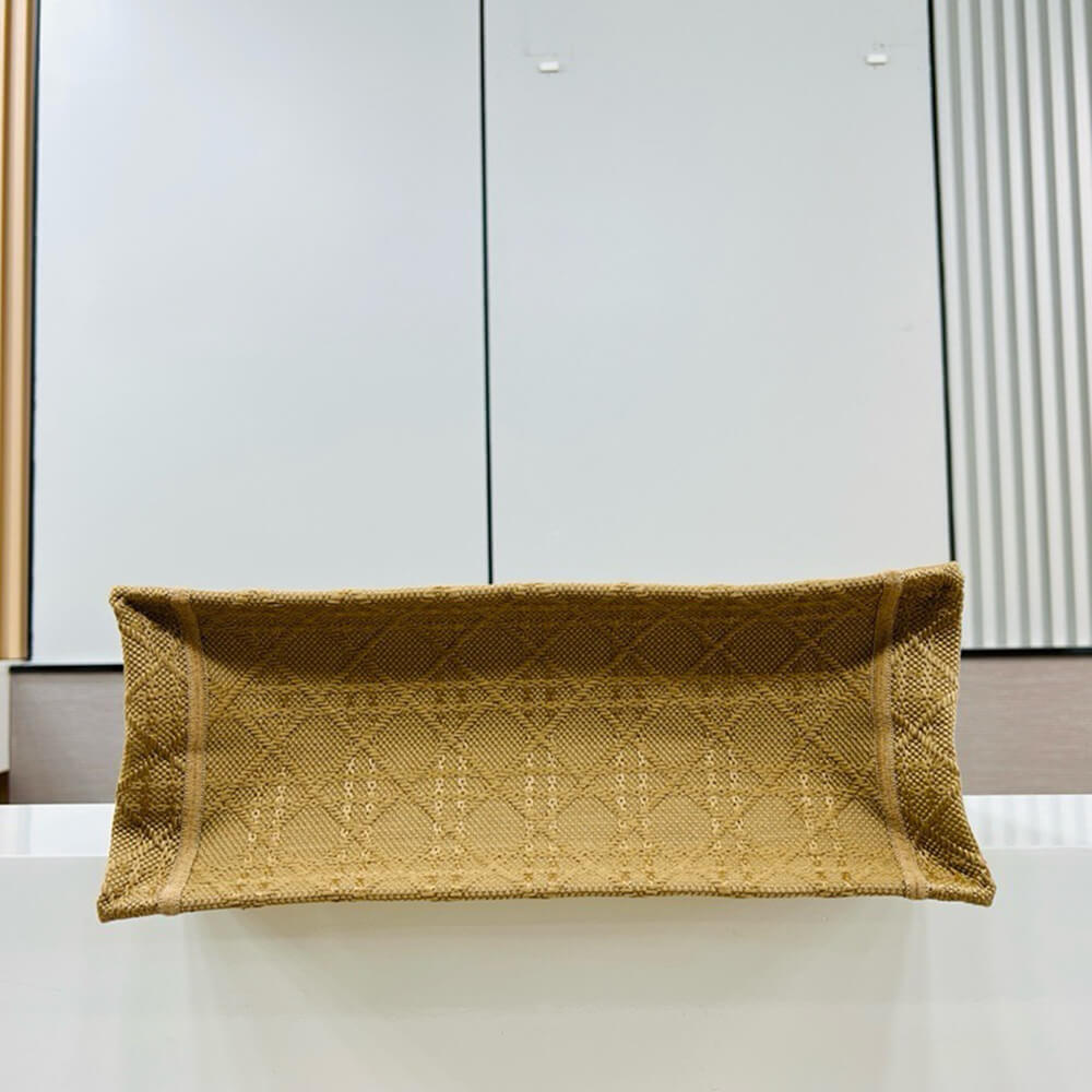 Medium Dior Book Tote - Top Club