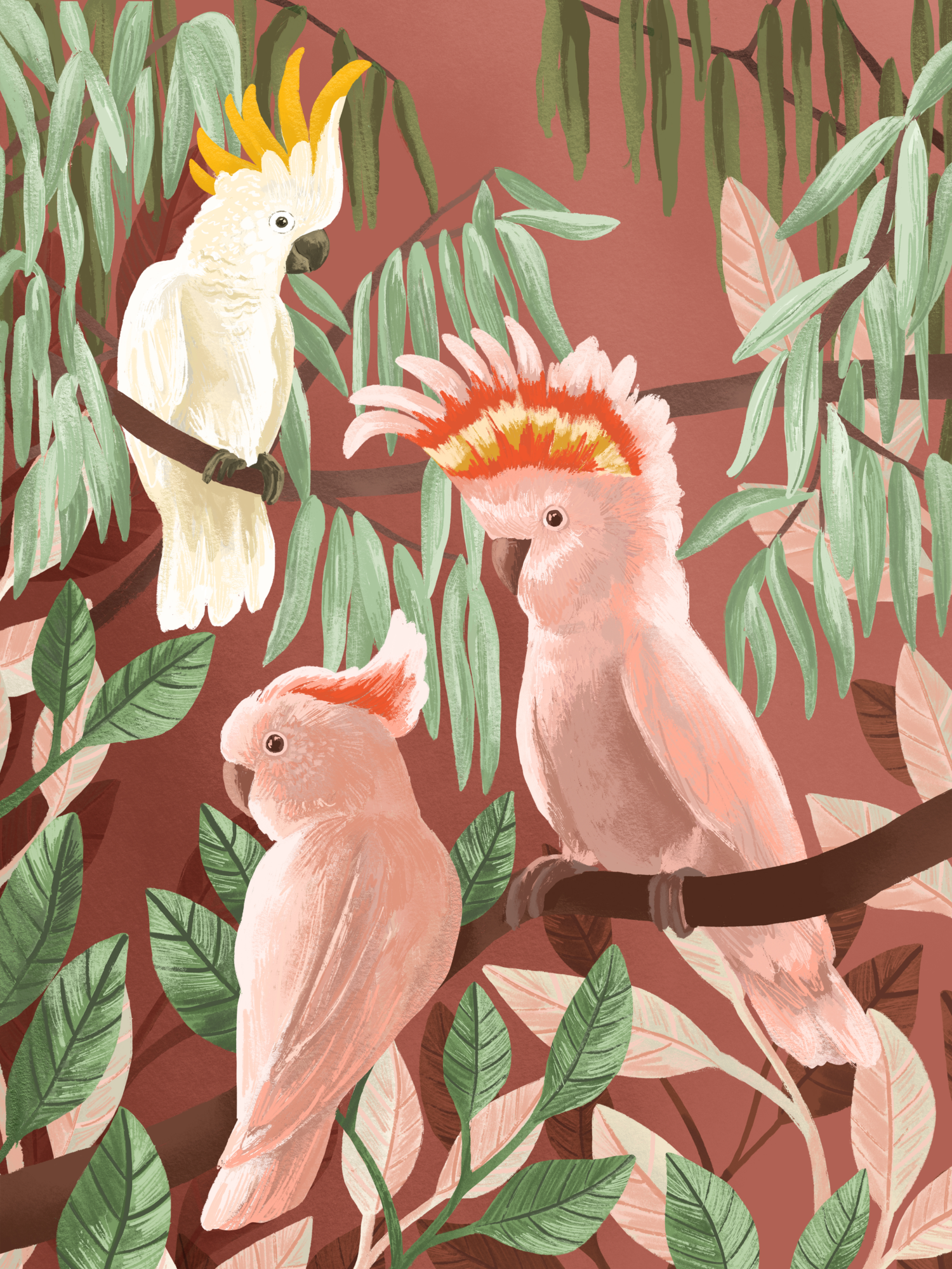 Poster Cockatoes 40 x 50 cm