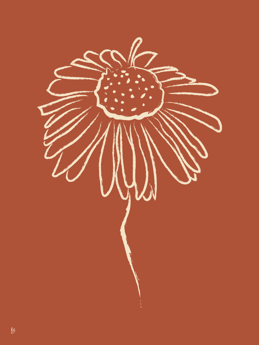 Poster Daisy 30 x 40 cm