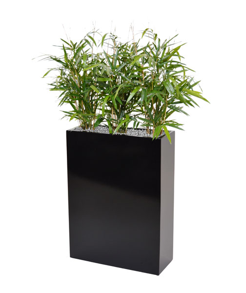 Plantenbak South Dakota shiny black L56 x B23 x H76 cm