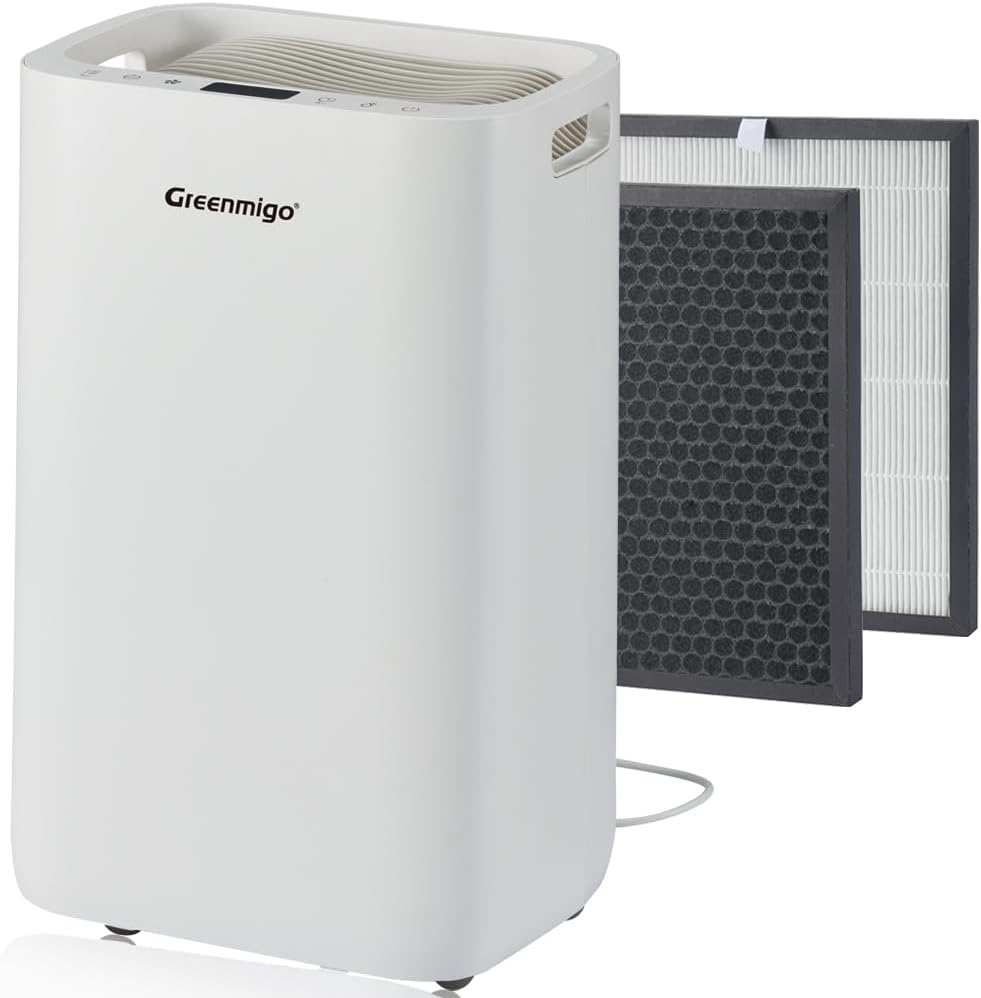 Deumidificatore e Purificatore d'aria 20L,Fino a 65 m2,Display Digitale,Scarico Continuo,Serbatoio Estraibile 4.5 Litri,Timer 24 Ore,Ionizzatore,Filtro HEPA e Carbone Attivo 2in1(ALPHA-Q20)