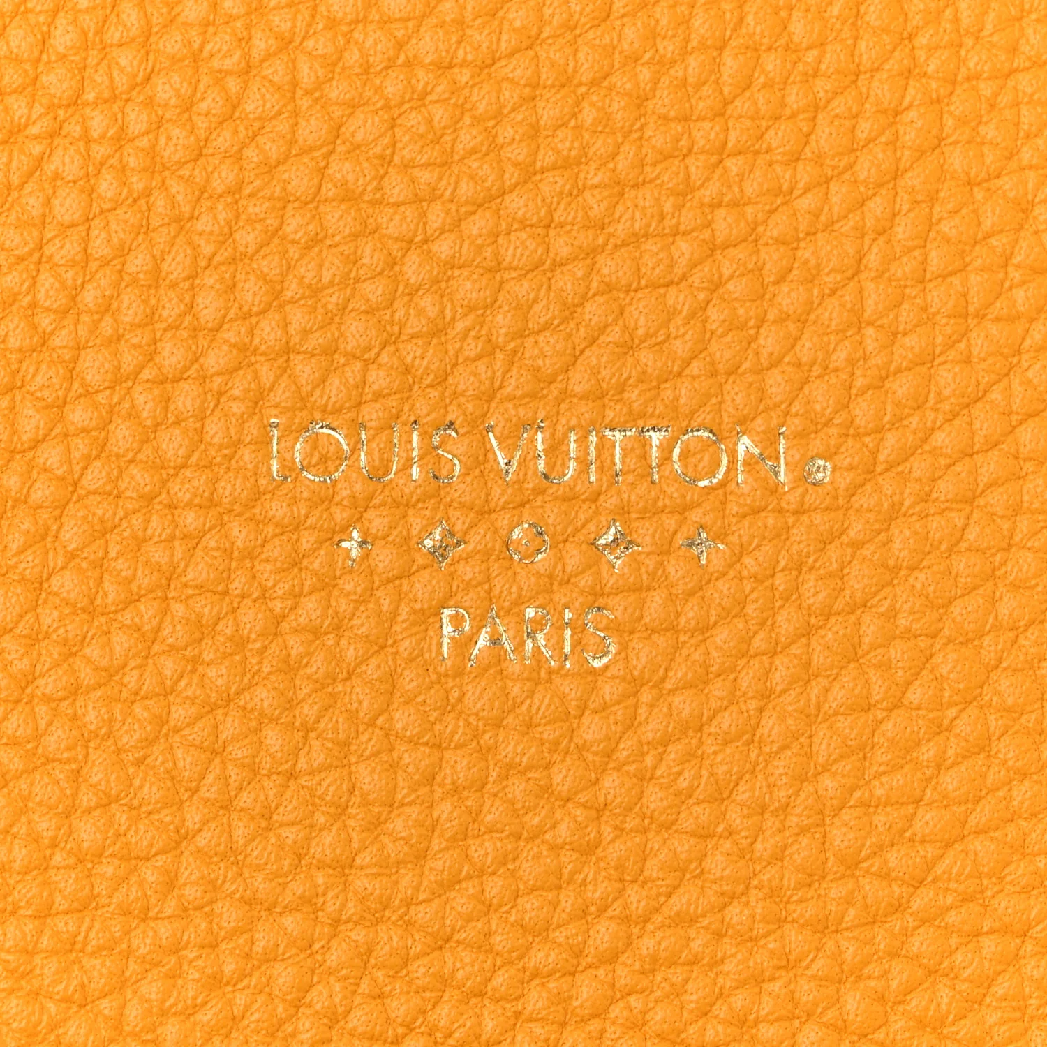 Grained Calfskin LV Pont 9 Soft PM Sunbeam - Top Club