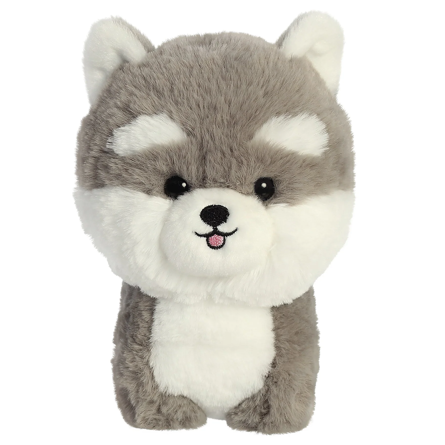 Husky Dog Puppy 7