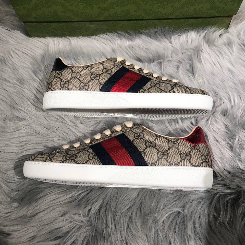 Ace GG Supreme sneaker with bees - Top Club