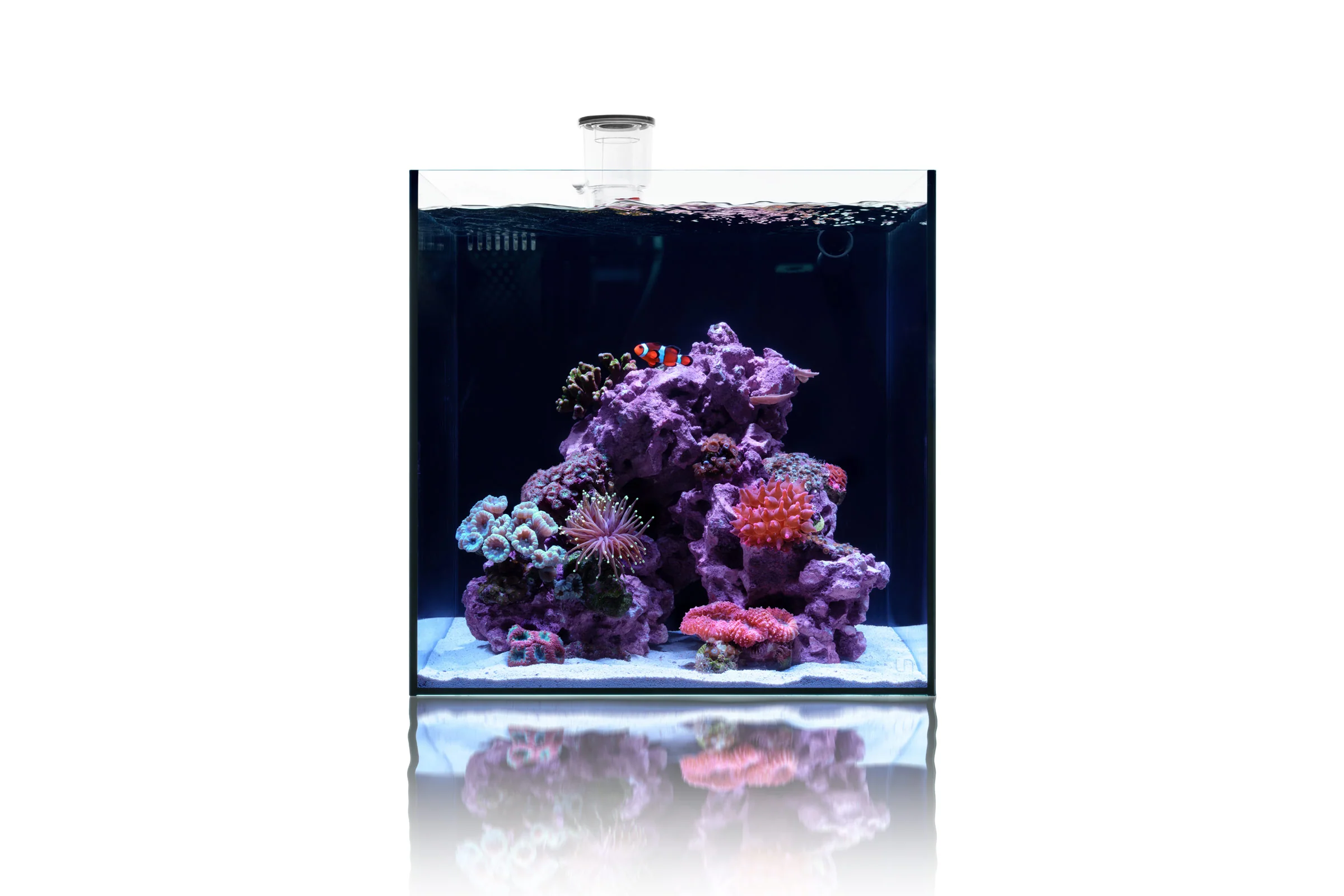 UNS Dual All-In-One Glass Aquarium Tank