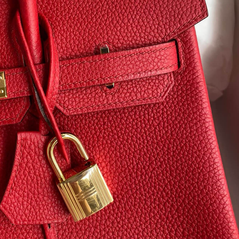 HERMES BIRKIN BAG 25 - Top Club