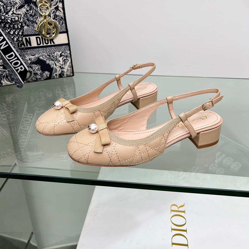 Dior Ballet Slingback Pump - Top Club