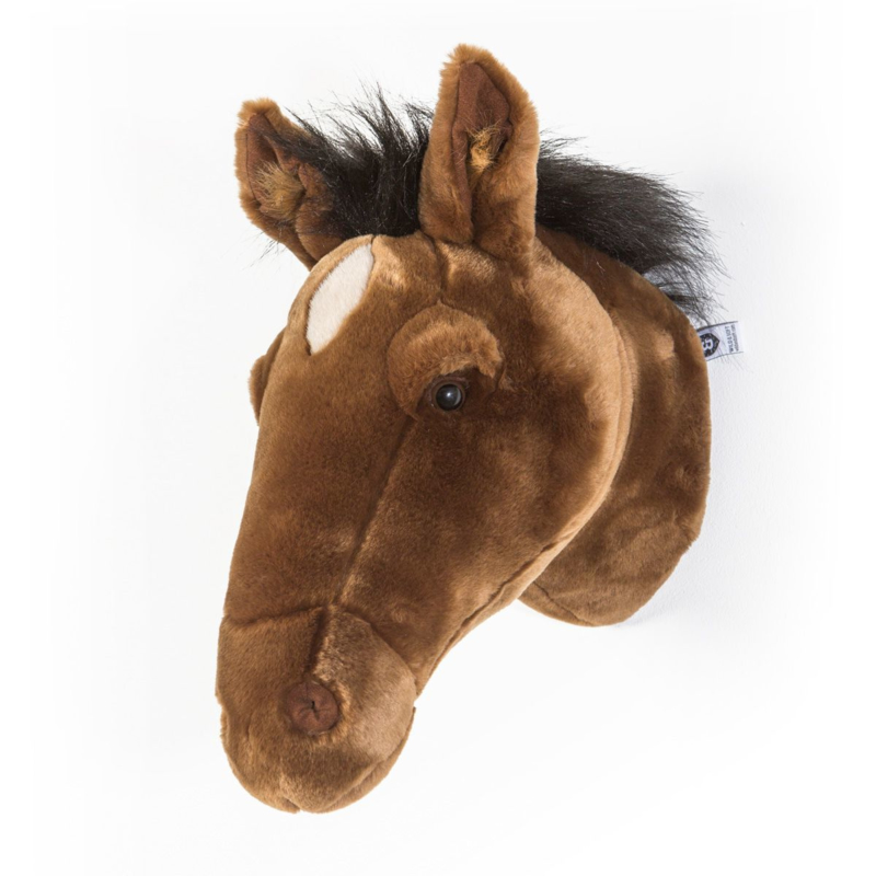 Dierenkop paard