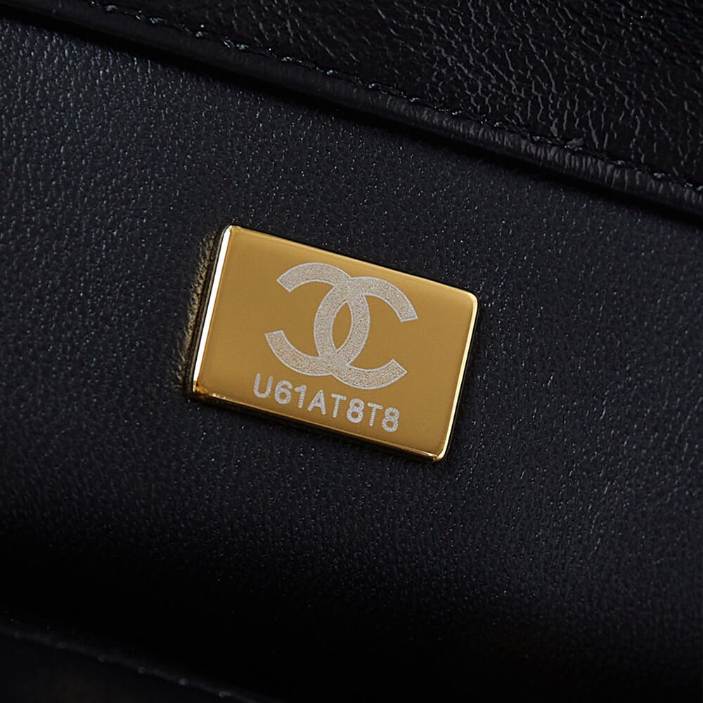CHANEL Flap Bag with Top Handle - Top Club