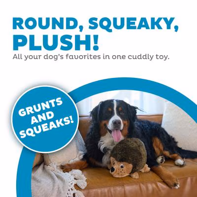 Outward Hound HedgehogZ Squeaky Plush Dog Toy