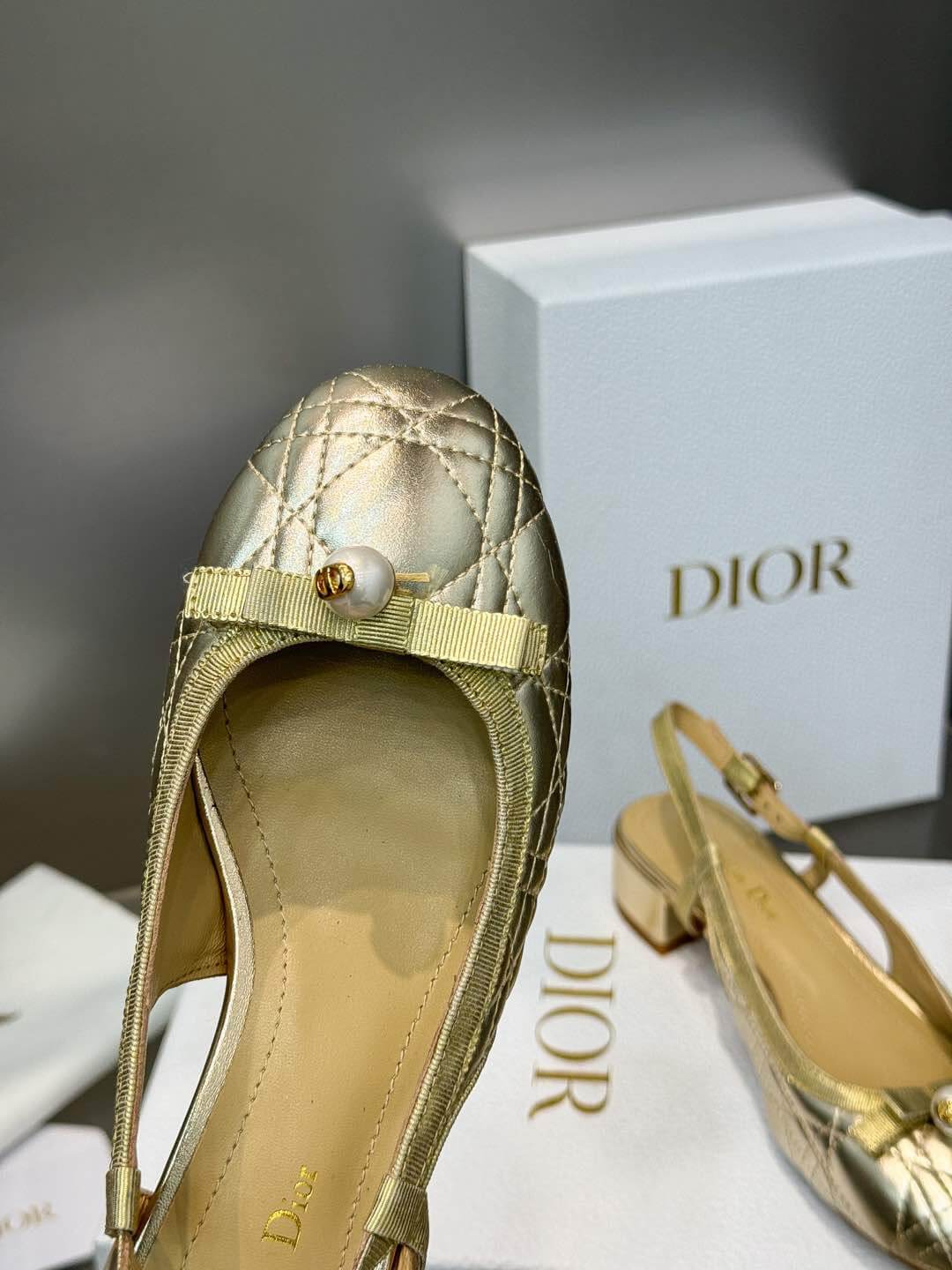 Dior Ballet Slingback Pump - Top Club