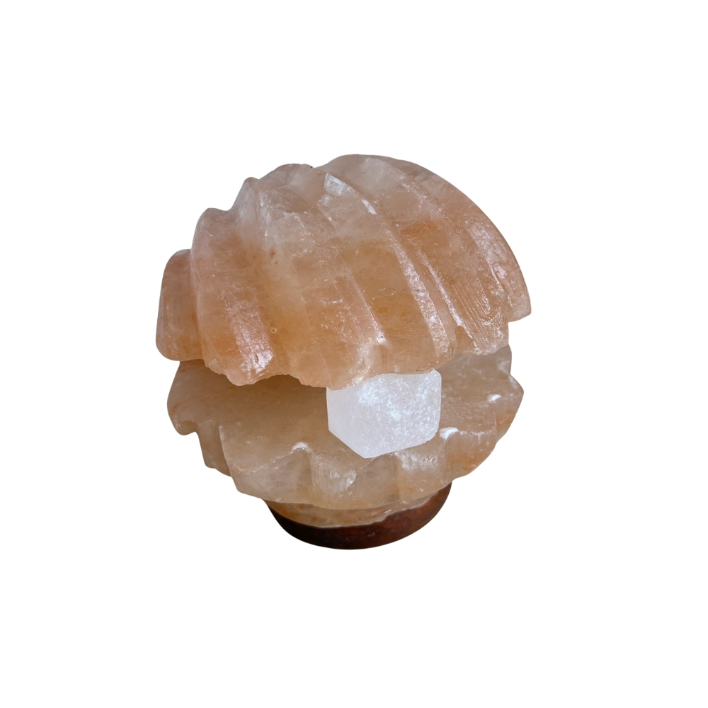 Tafellamp Schelp met parel zoutlamp