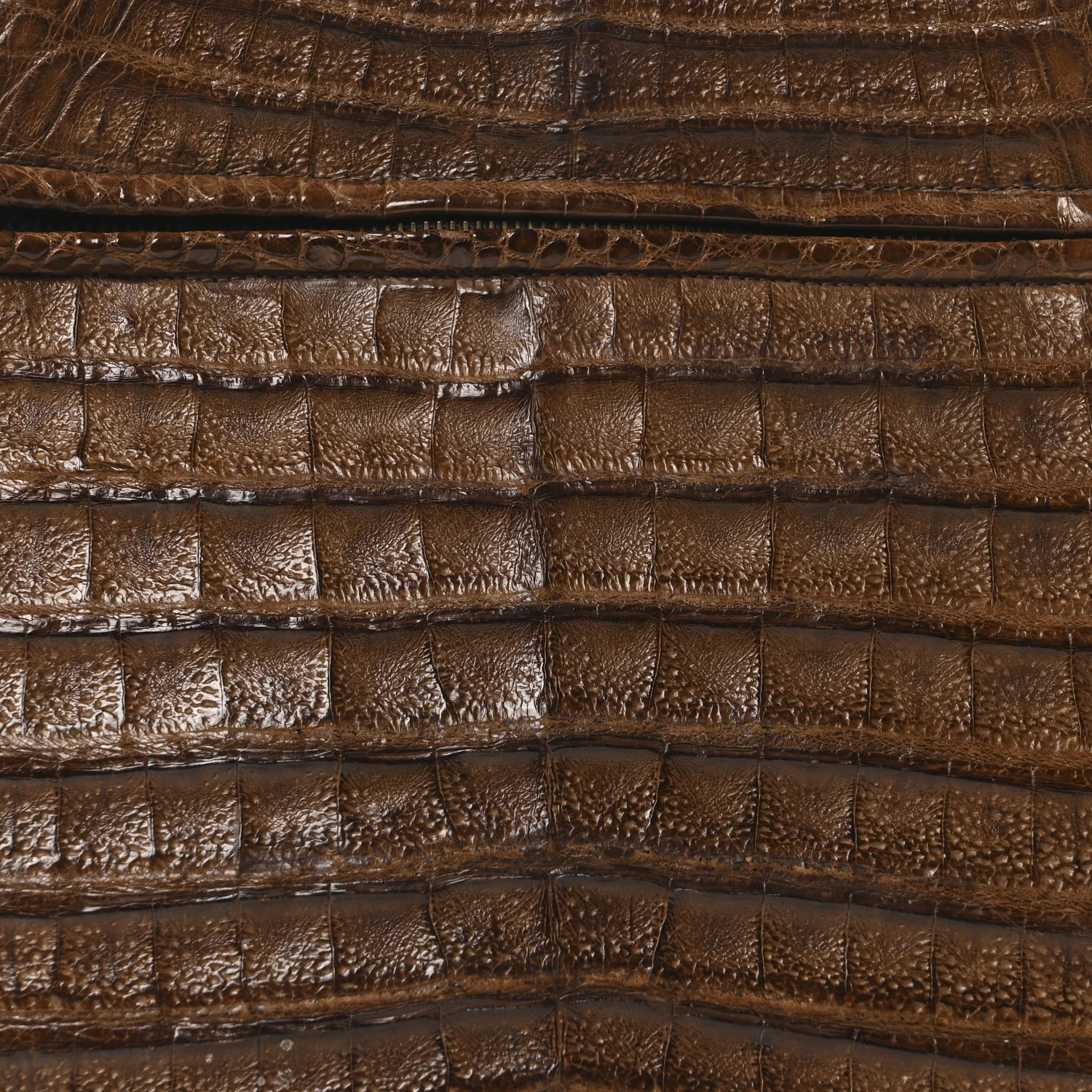 Alligator Shopping Tote Brown - Top Club