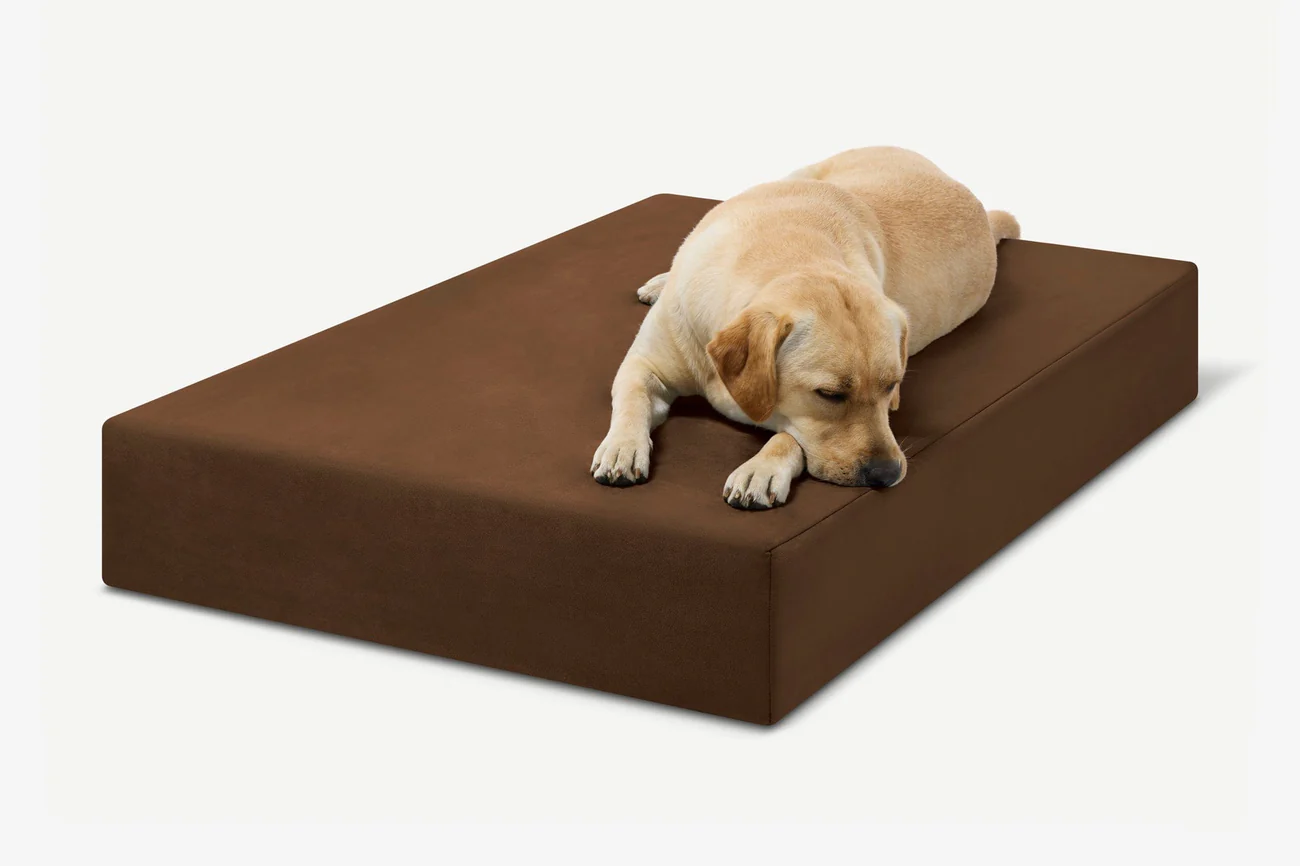 Original Orthopedic Dog Bed - Chocolate