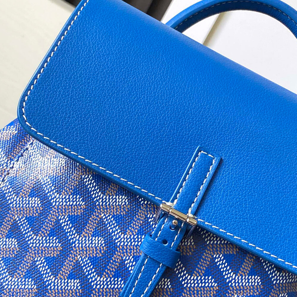 Goyard Alpin Mini Backpack - Top Club
