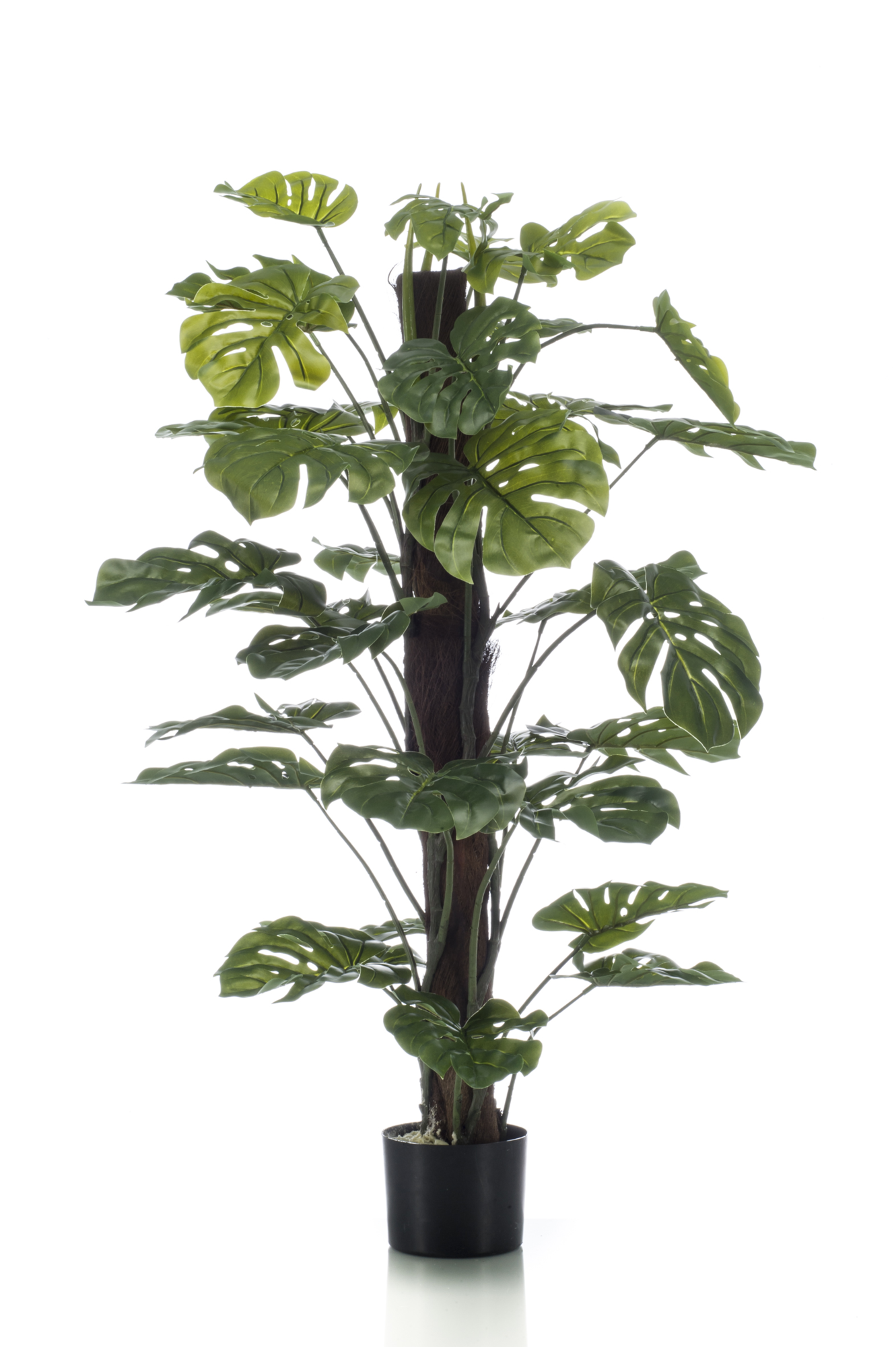 Monstera on pole 120 cm