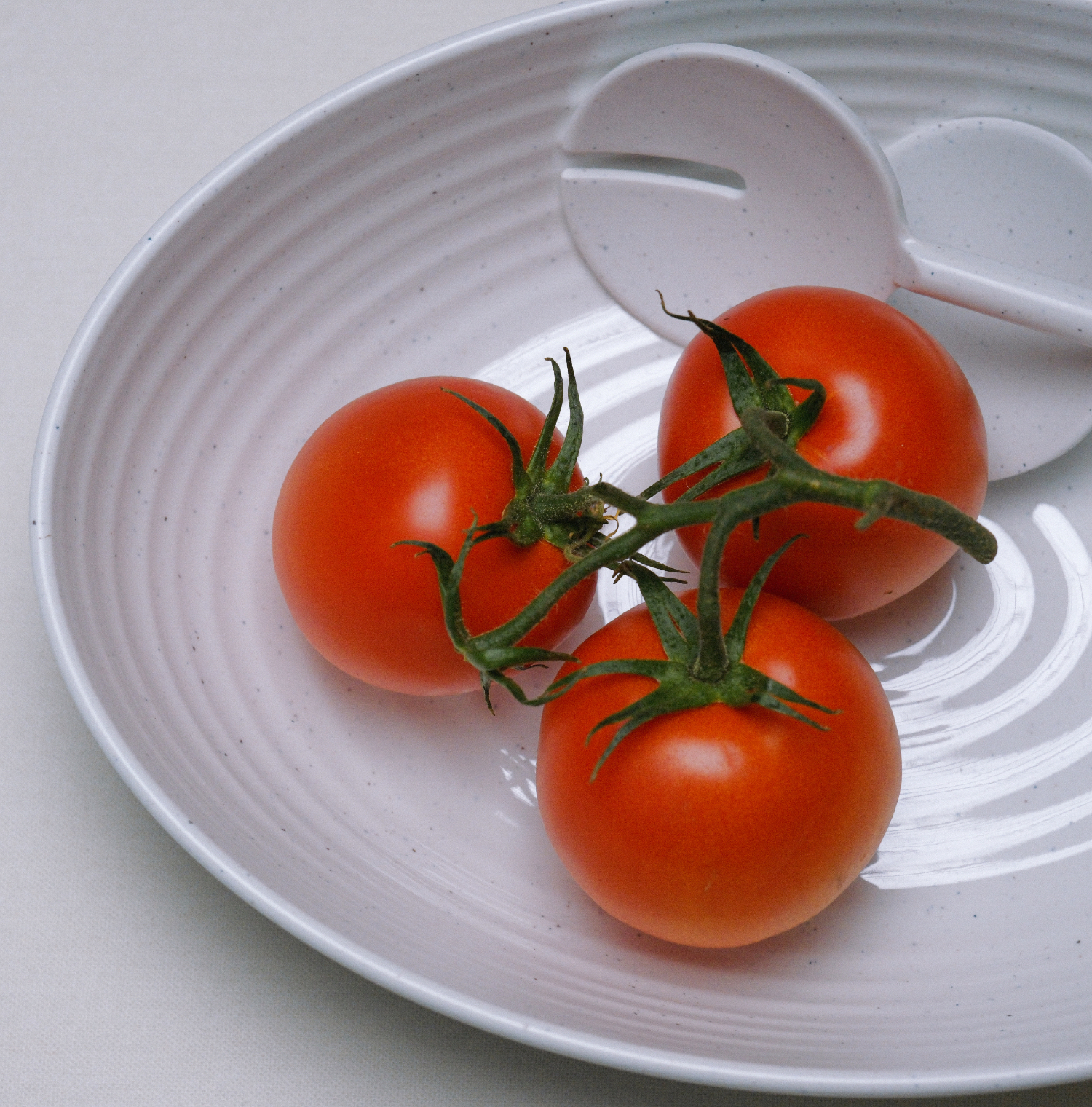 Saladeschaal Granite Pearl inclusief slabestek