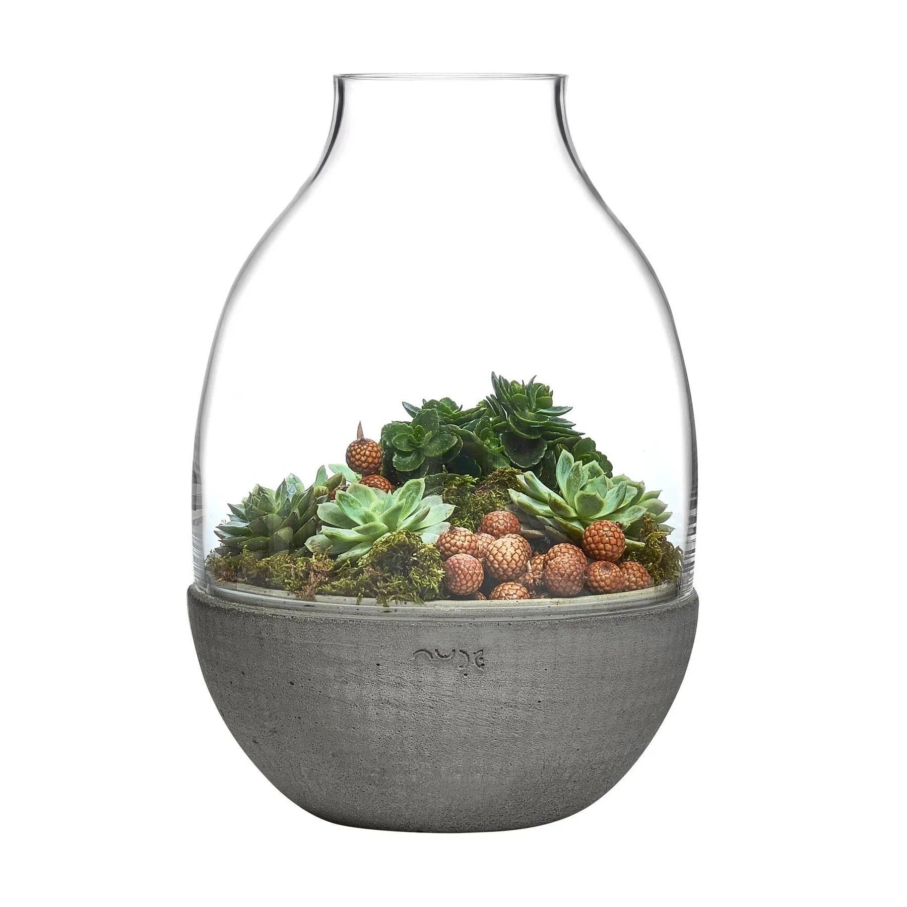 Eden Terrarium Clear with Moulded Concrete Base