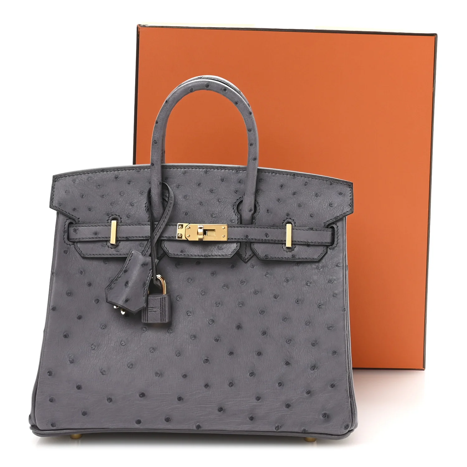 Ostrich Birkin 25 Gris Agate - Top Club