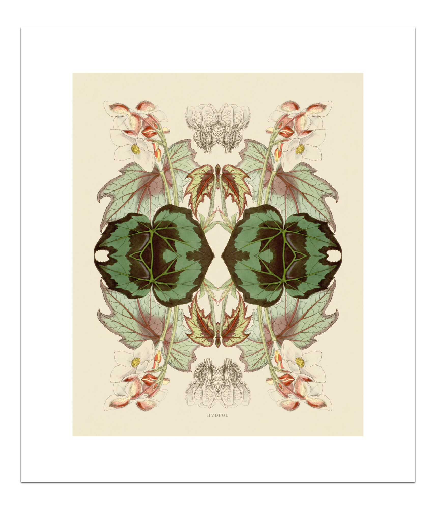Poster Pink Blossom 40 x 50 cm