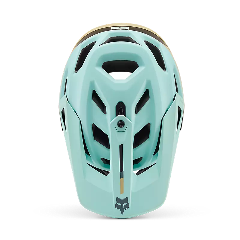 Proframe Helm