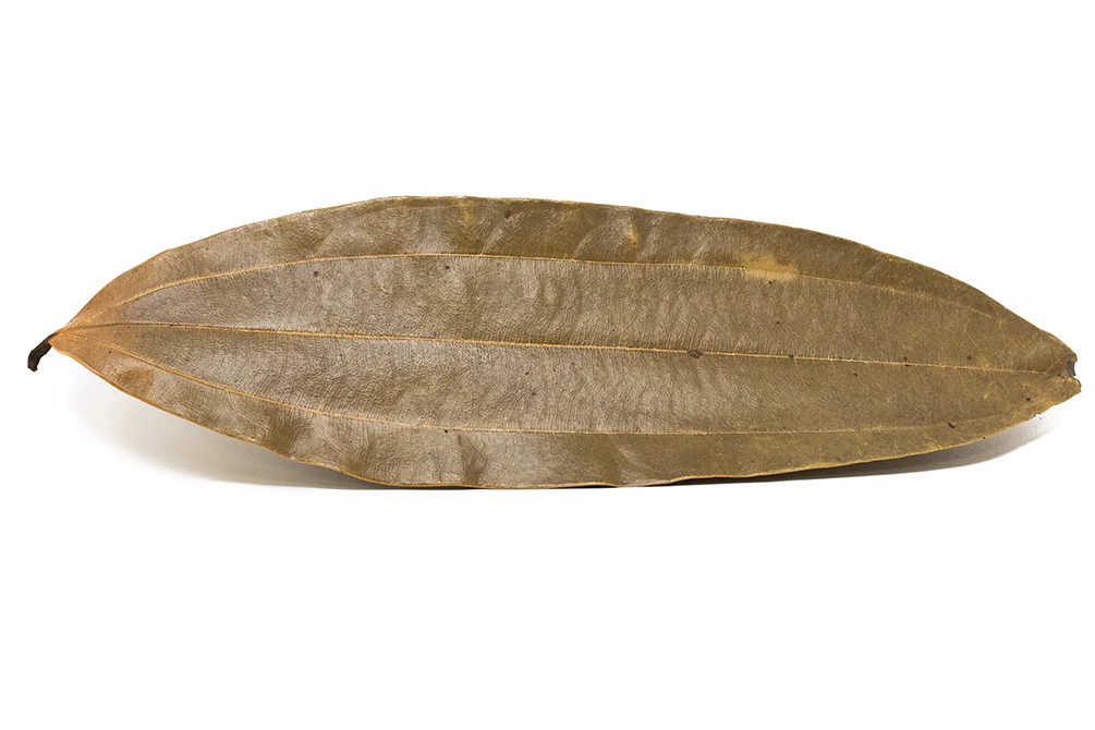 Cinnamon Leaves