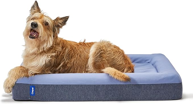 Casper Dog Bed - Blue