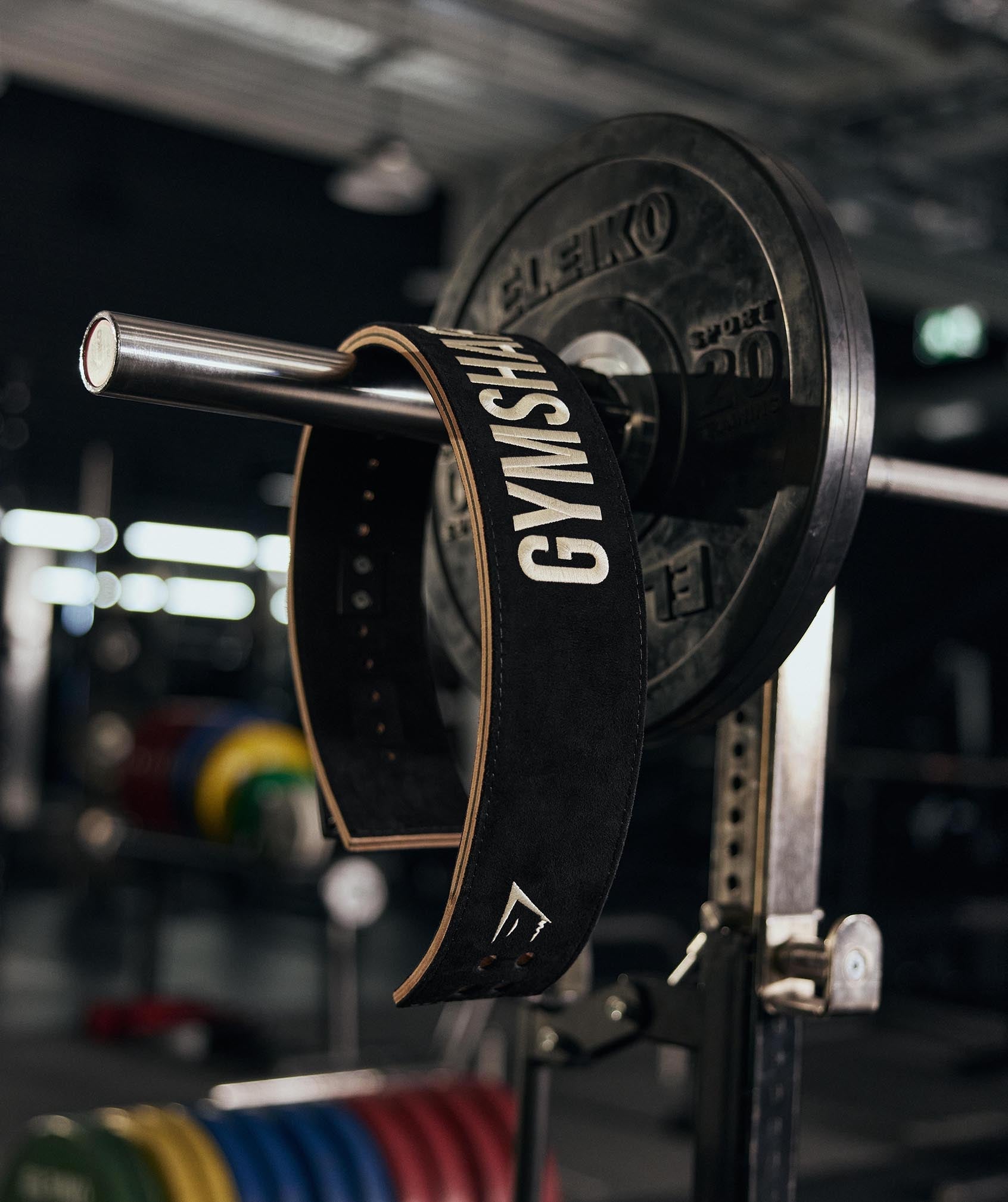 COACH Lever Lifting Belt