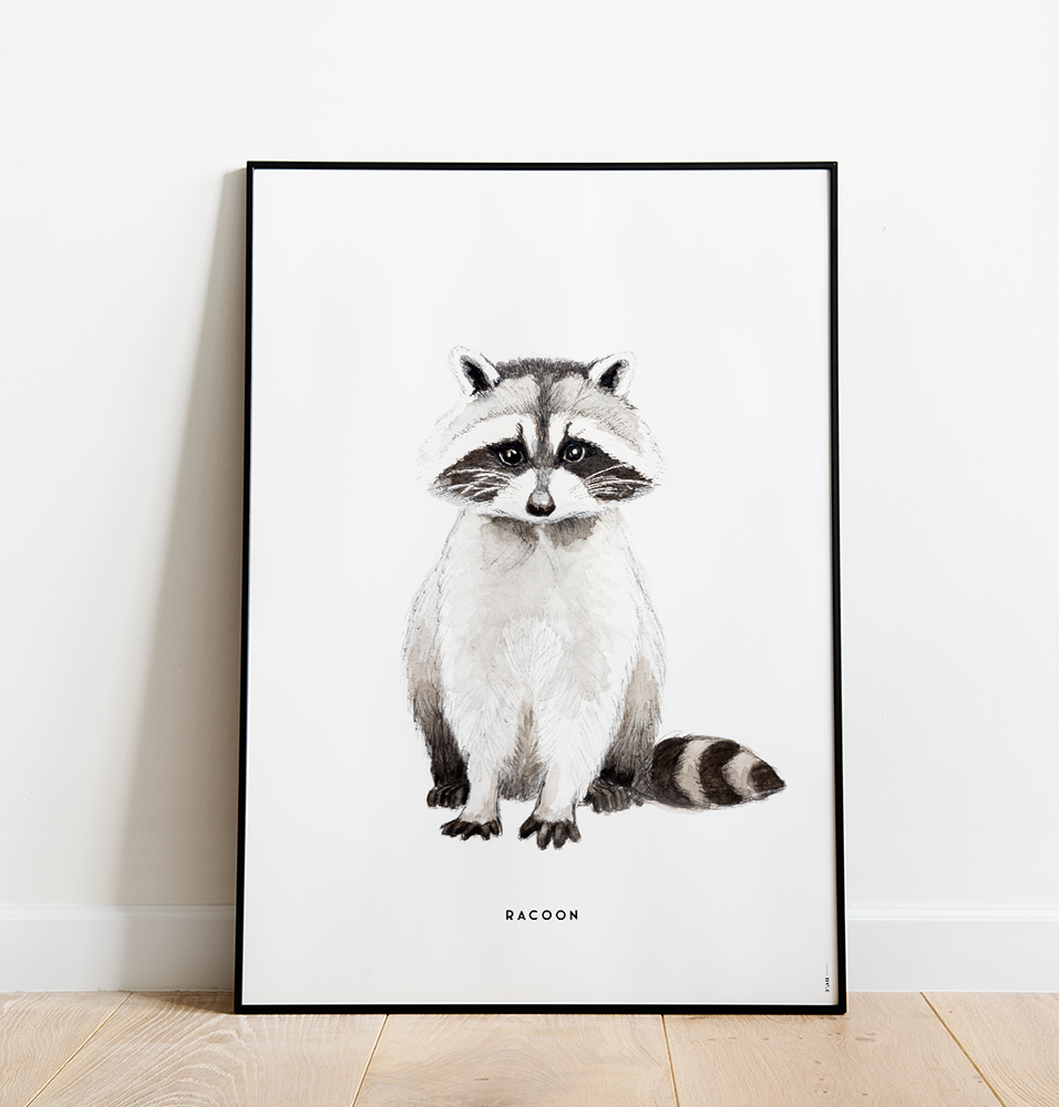 Poster Bintje wasbeer 50x70 cm