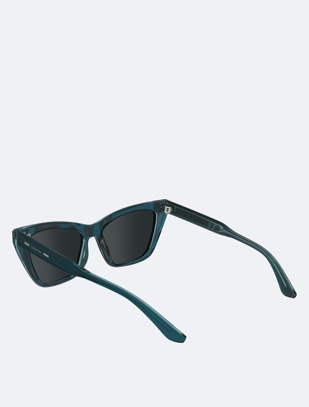 COACH Acetate Butterfly Sunglasses