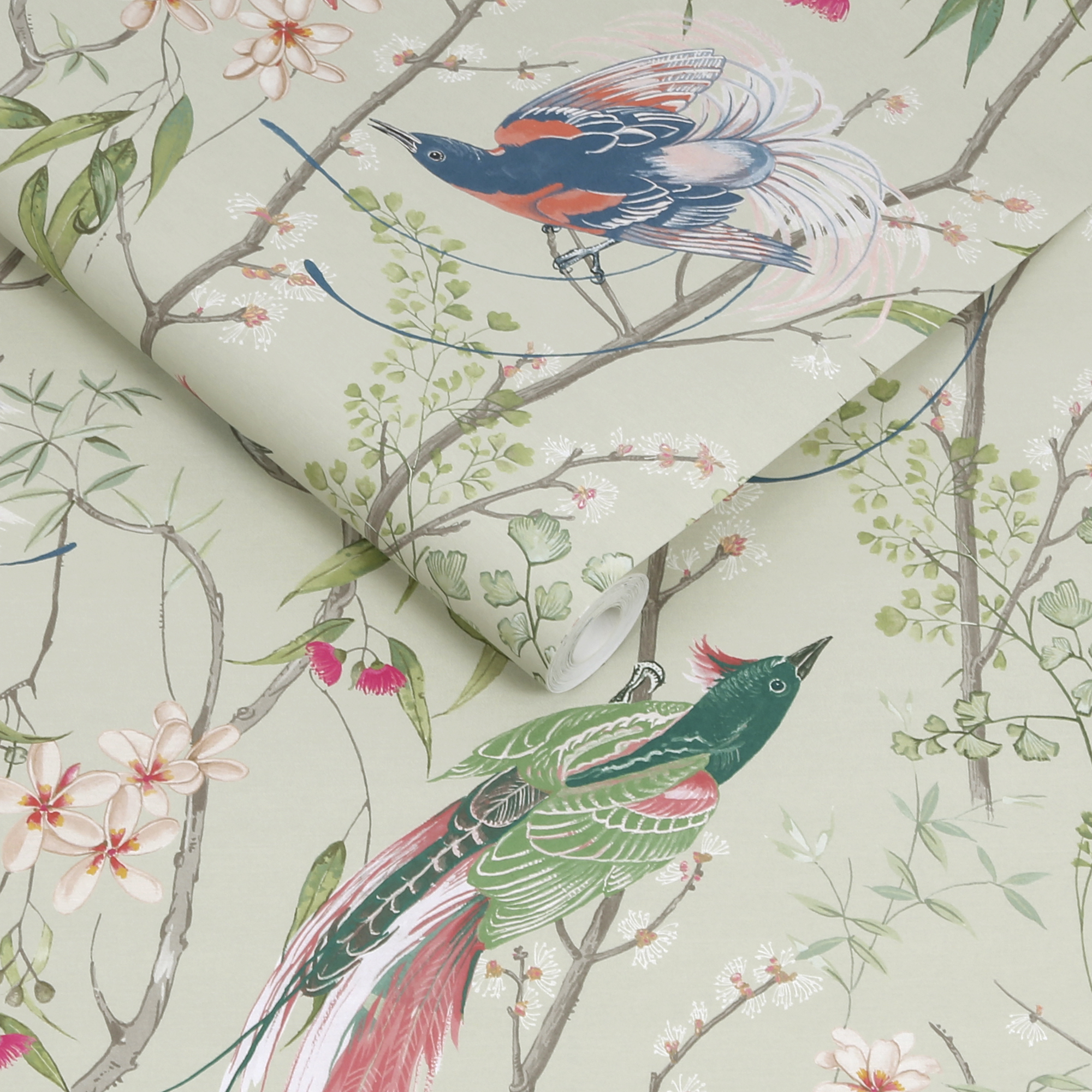 Graham & Brown vliesbehang Clavering Birds Morning Sage Graham & Brown vliesbehang Clavering Birds Morning Sage
