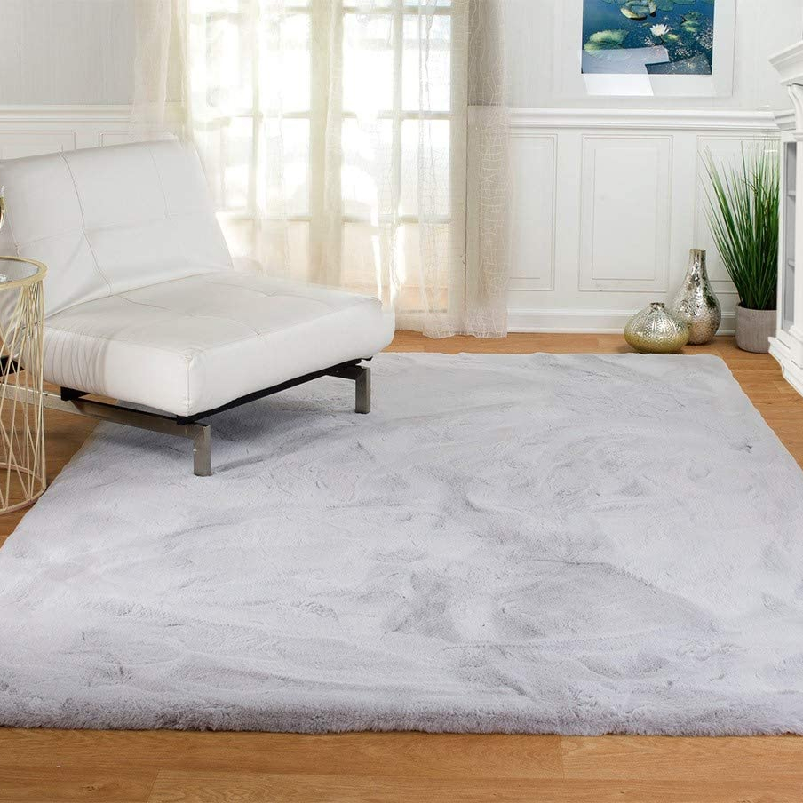 Living Room Carpet