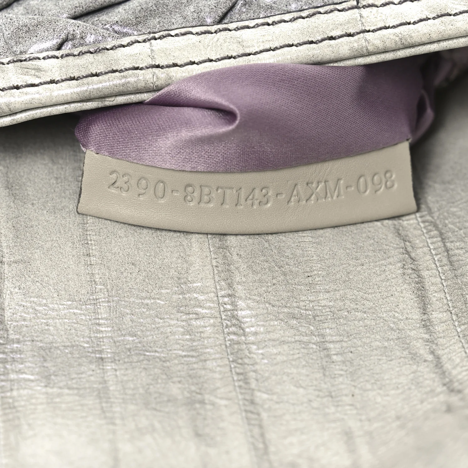 Iridescent Eelskin Maxi Chain Baguette Bag Grey Multicolor - Top Club