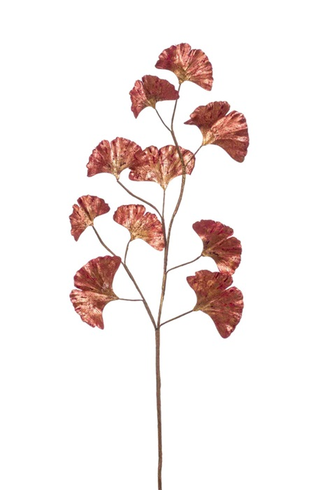 Ginko leaf spray