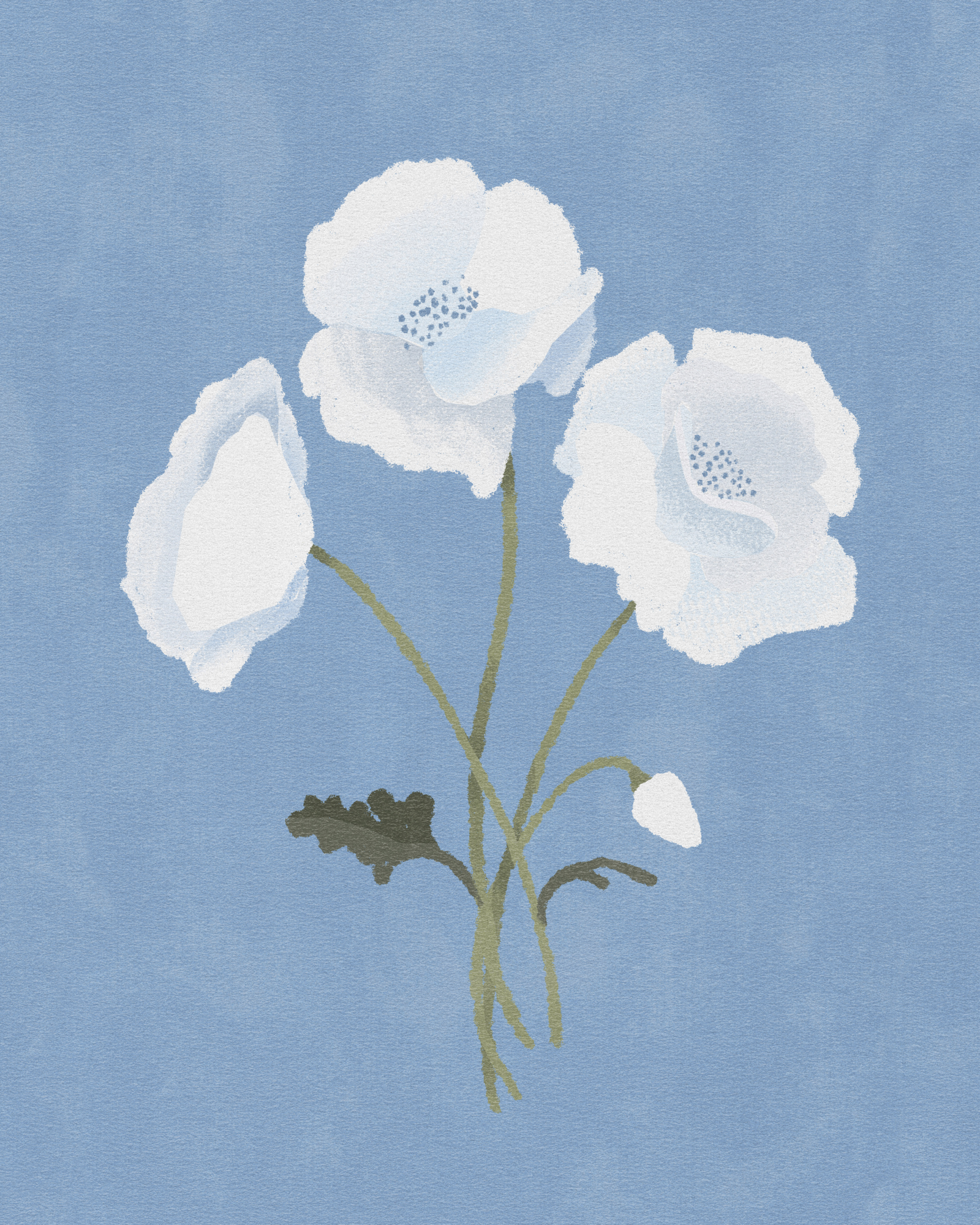 Poster White on blue 40 x 50 cm