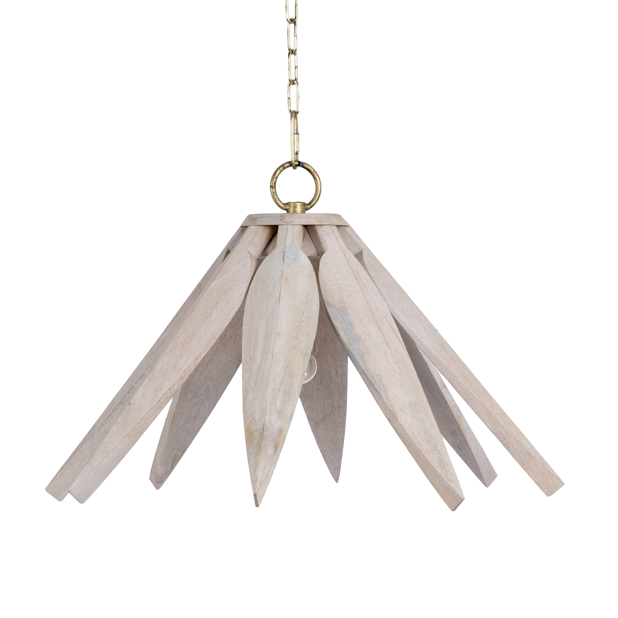 Hanglamp Bharani #1