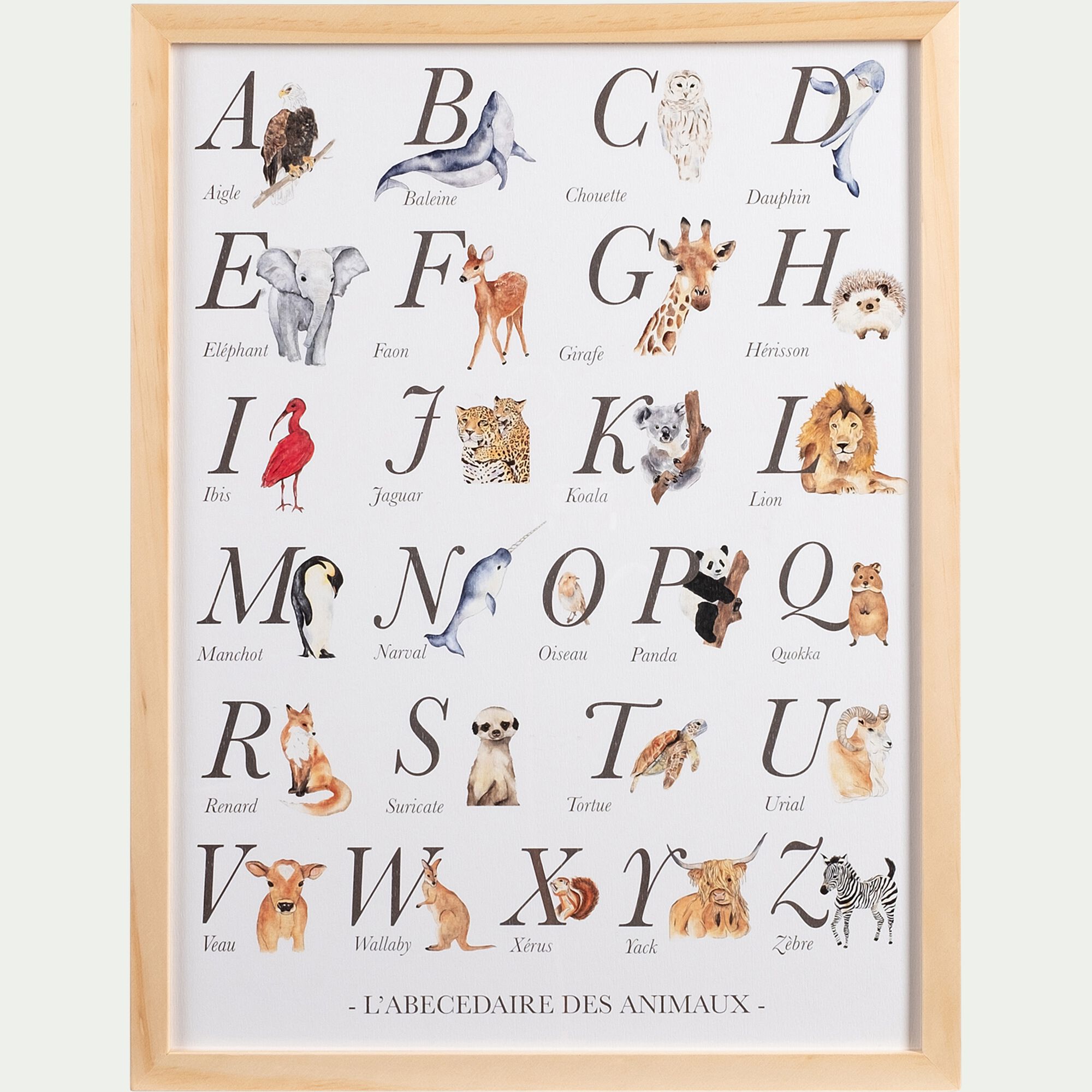 ABC - Abécédaire illustré et encadré A3