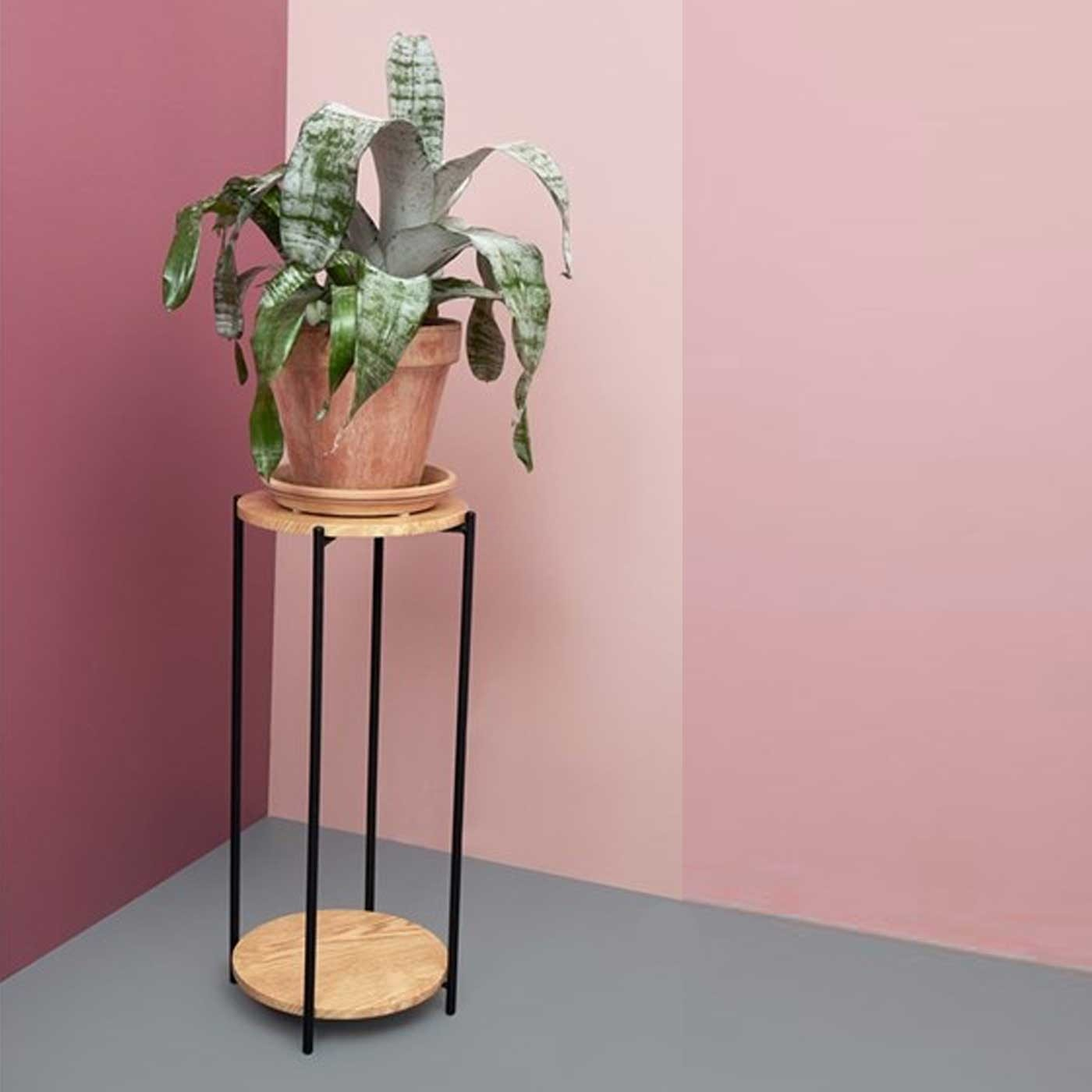 Plantentafel Lina Naturel