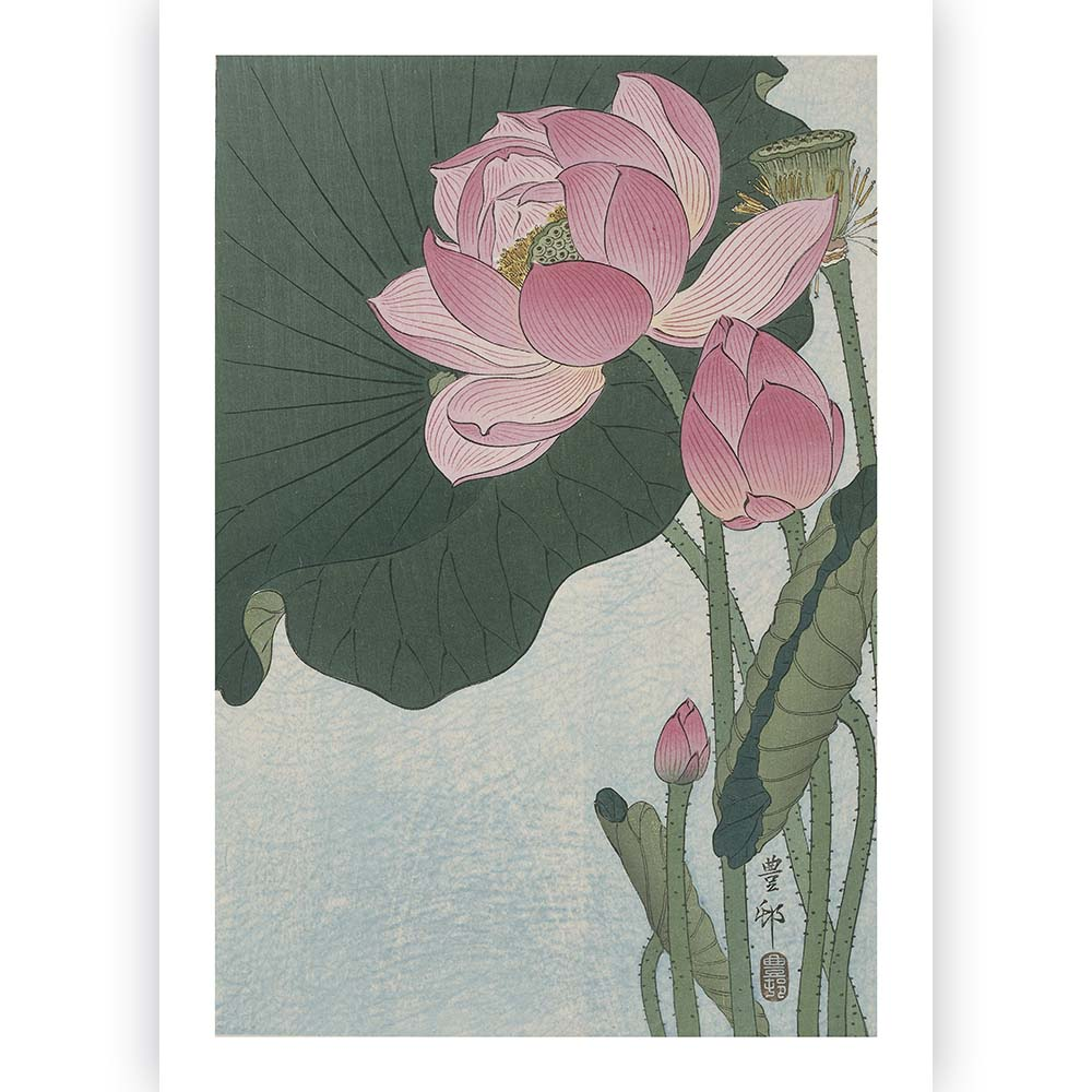 Poster Ohara Koson - Lotus Flower 70x100 cm