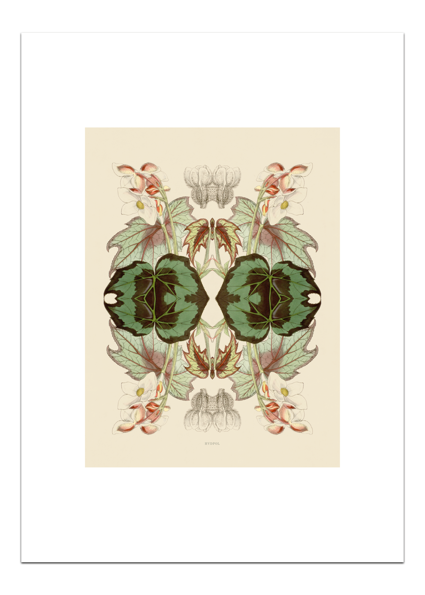 Poster Pink Blossom 30 x 40 cm