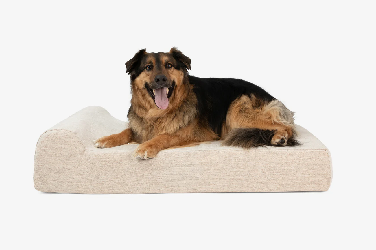 Original Orthopedic Dog Bed - Headrest Edition