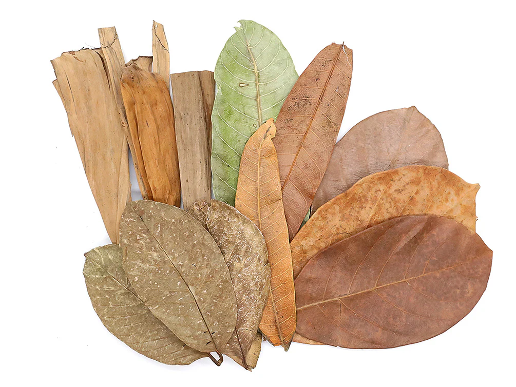 Aquatic Arts Mixed Fruit Leaf Botanical Pack (Mango, Guava, Banana & Jackfruit) - Dried Botanicals