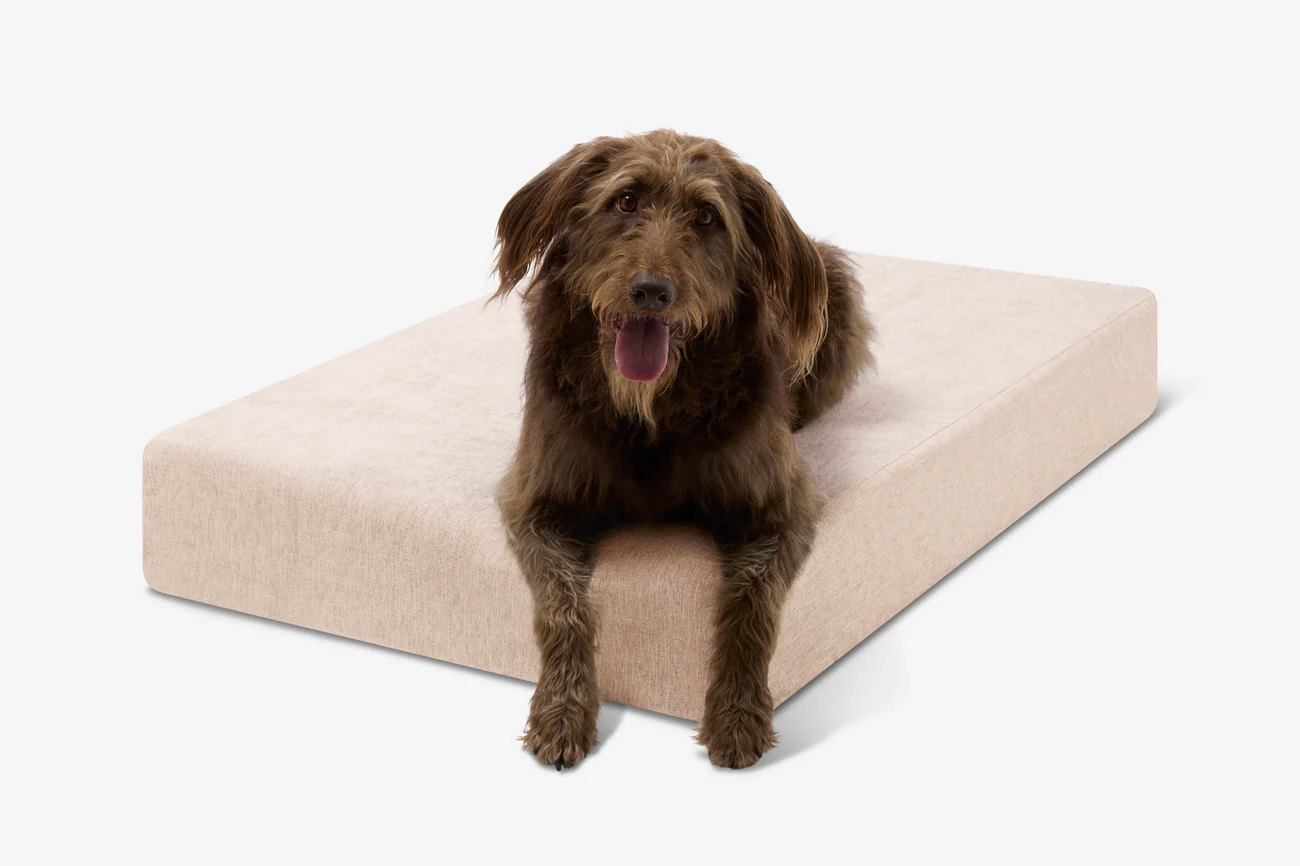 Original Orthopedic Dog Bed - Sleek Edition