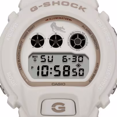 DW6900SHB-7