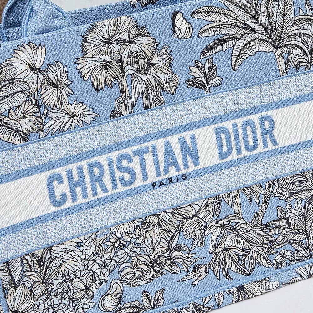 Medium Dior Book Tote - Top Club