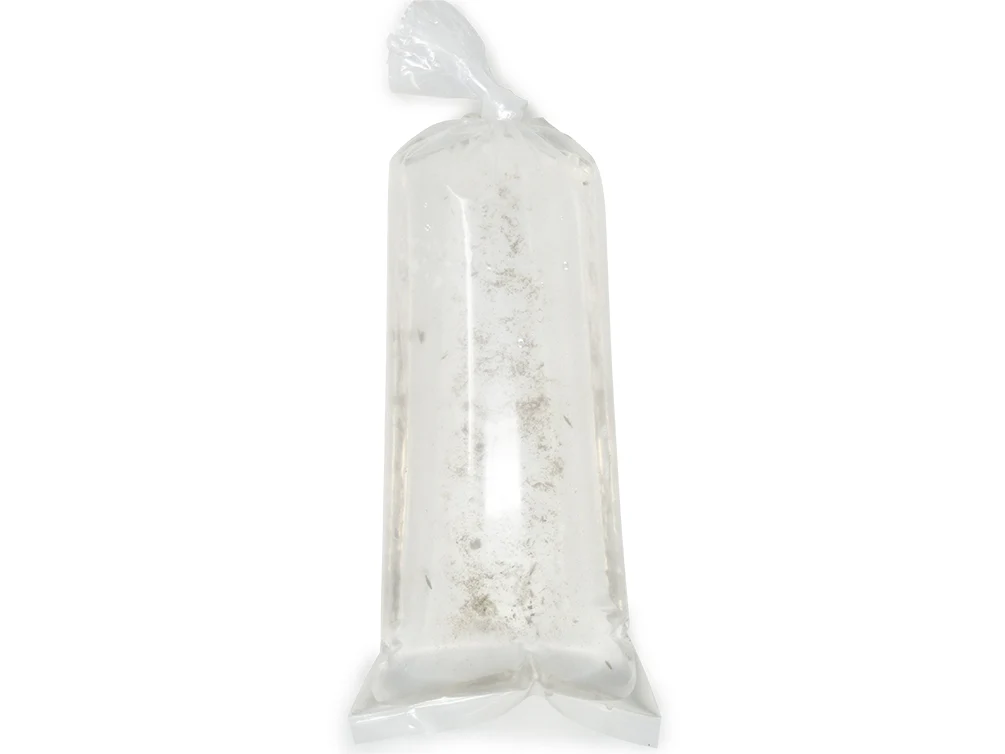 Live Daphnia and Scud Cultures Combo Pack - Aquatic Arts