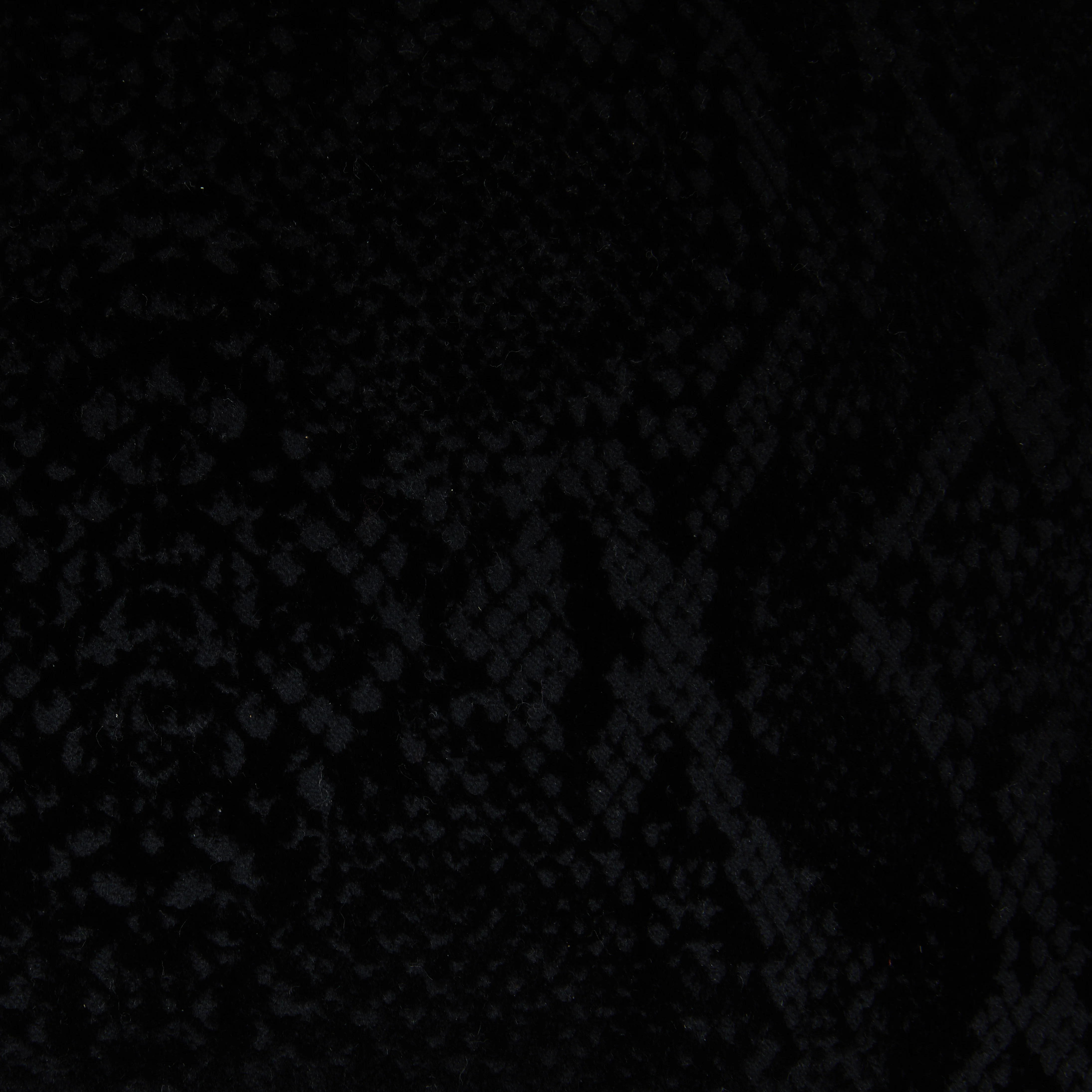 Cuscino Arredo In Velluto Python 40X40 Black Philipp Plein