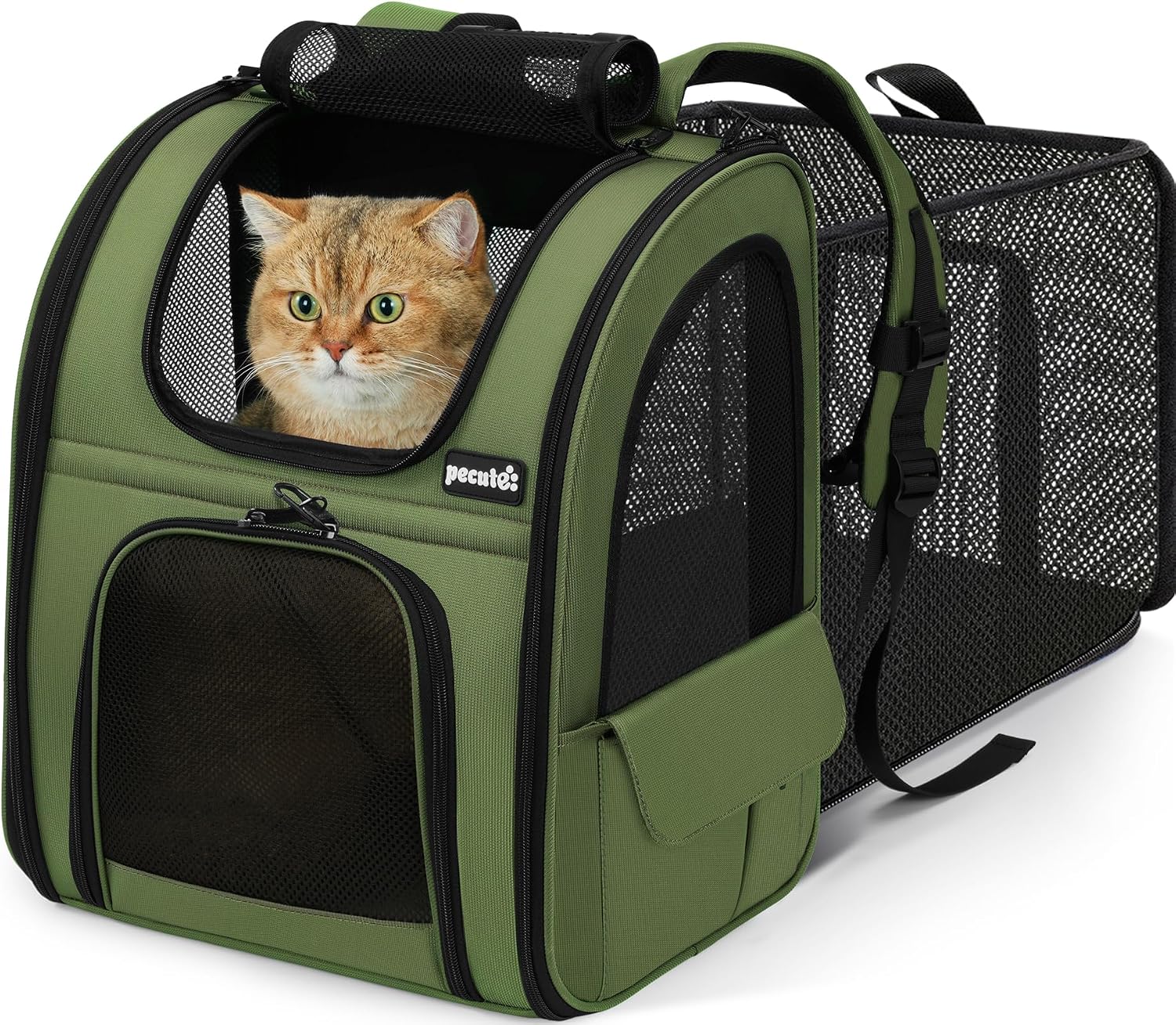 Pecute Cat Backpack Carrier Expandable - Geen