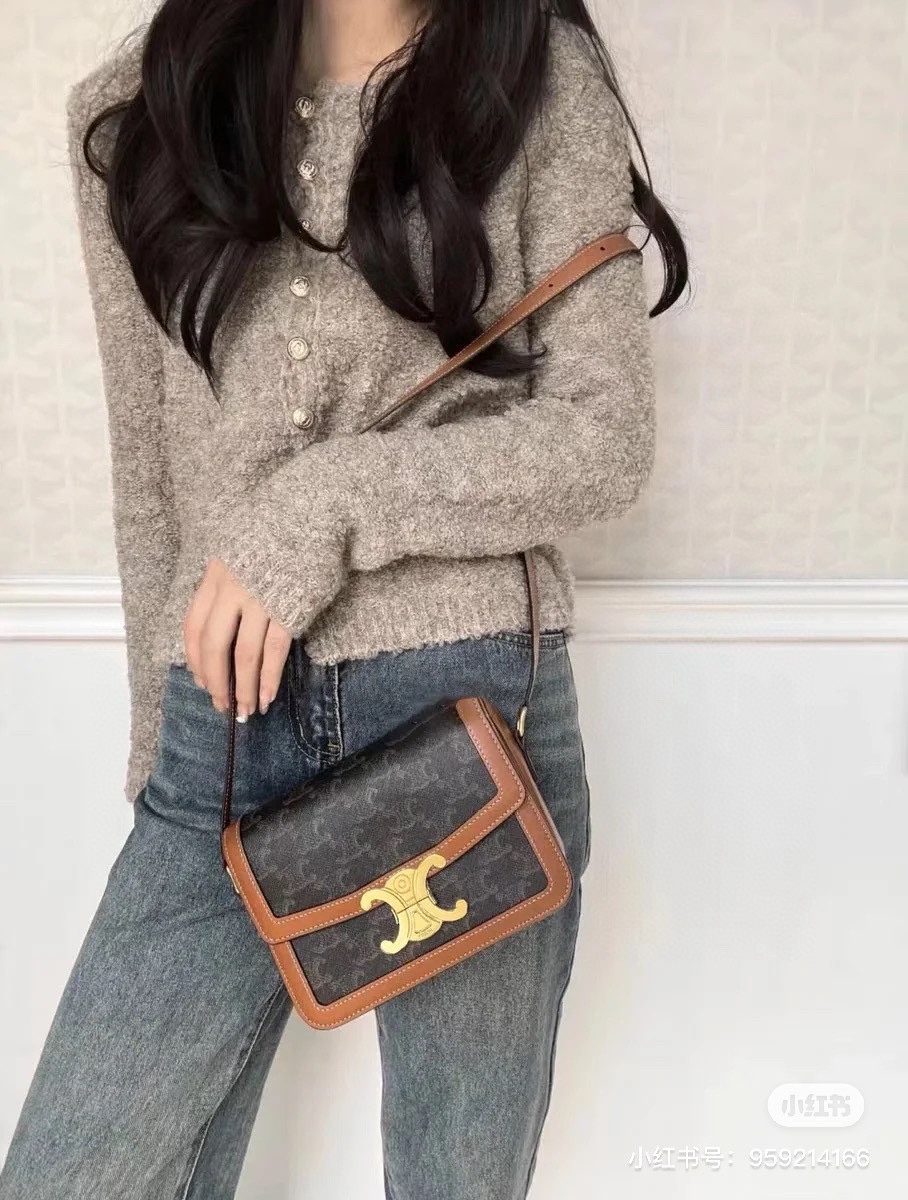 CLASSIQUE TRIOMPHE BAG IN TRIOMPHE CANVAS AND CALFSKIN TAN - Top Club