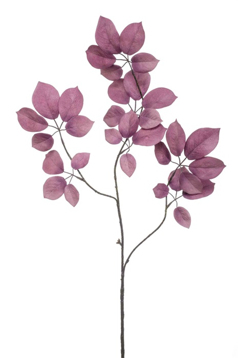 Schefflera spray